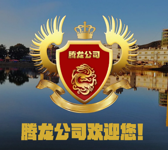 关于腾龙娱乐